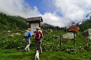 Al Rif. Ponti (2559 m), il rifugio del Disgrazia, dalla Valle di Preda Rossa il 23 giugno 2015 - FOTOGALLERY